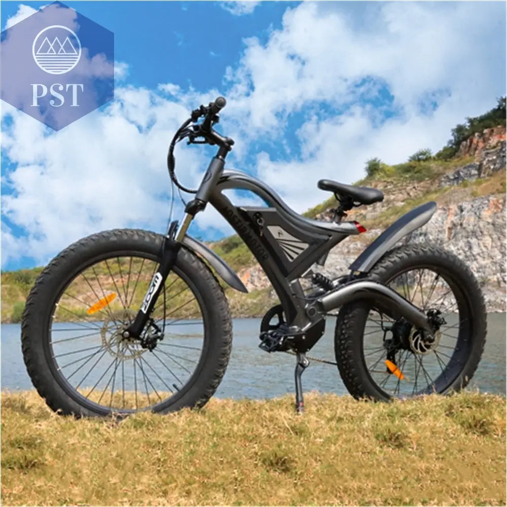 Adult Electric City Bike PST PS Tradings