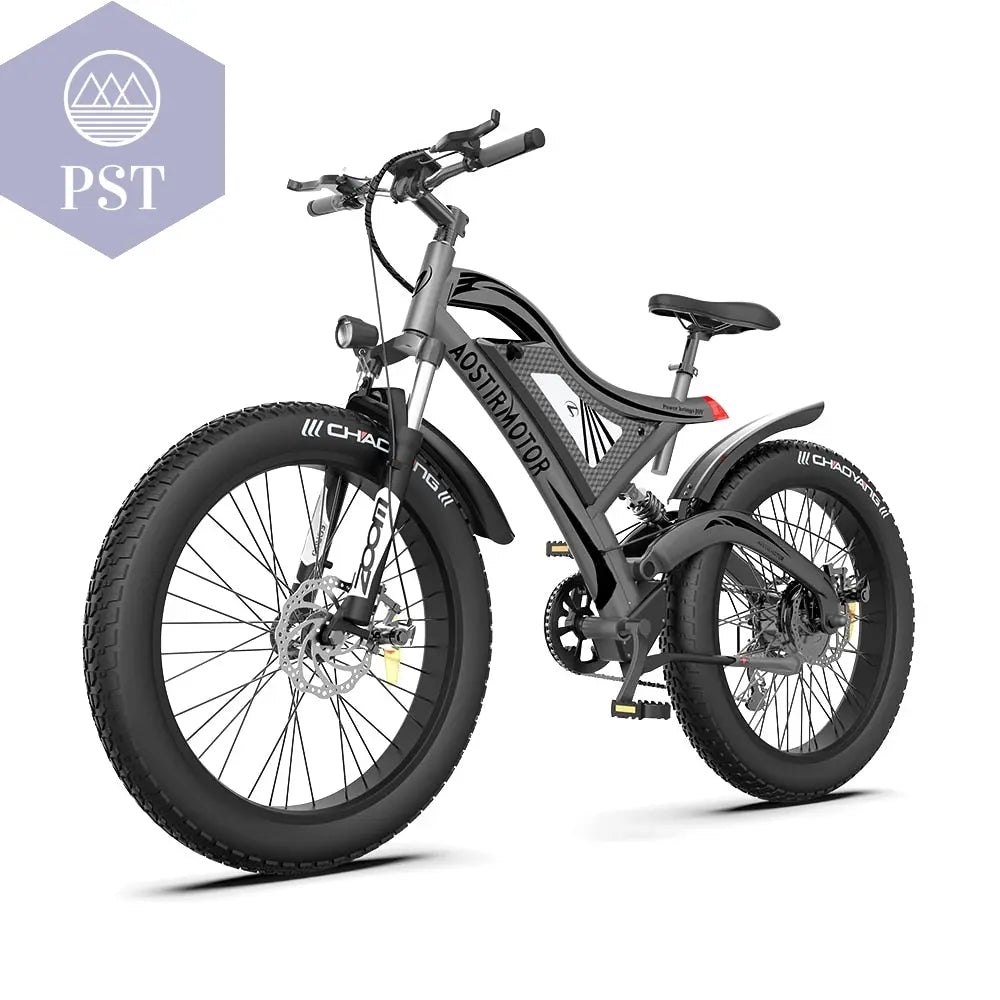 Adult Electric City Bike PST PS Tradings