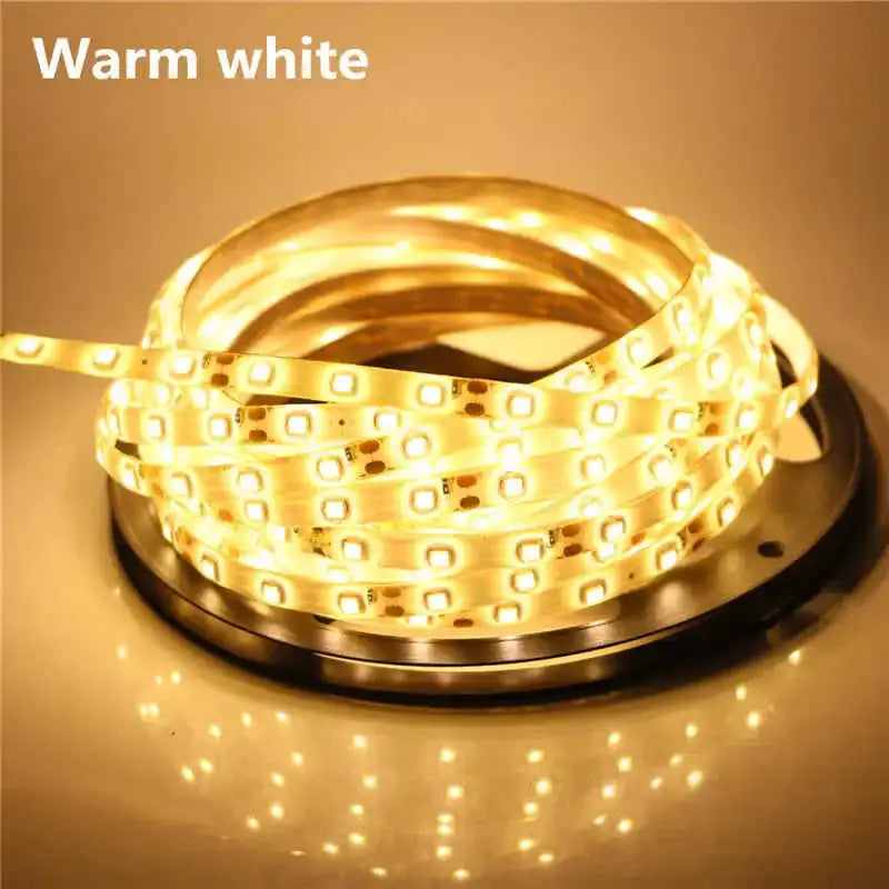 2835 SMD led streifen licht DC12V 5M 300LEDs flexible band band beleuchtung Weiß Warm weiß Rot Grün Blau gelb Rosa RGB PST PS Tradings