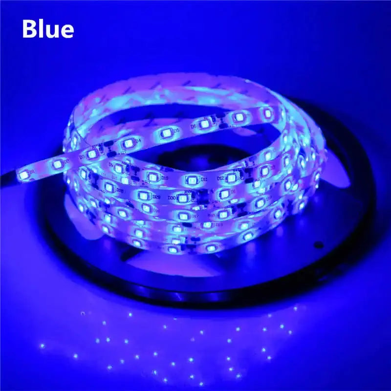 2835 SMD led streifen licht DC12V 5M 300LEDs flexible band band beleuchtung Weiß Warm weiß Rot Grün Blau gelb Rosa RGB PST PS Tradings